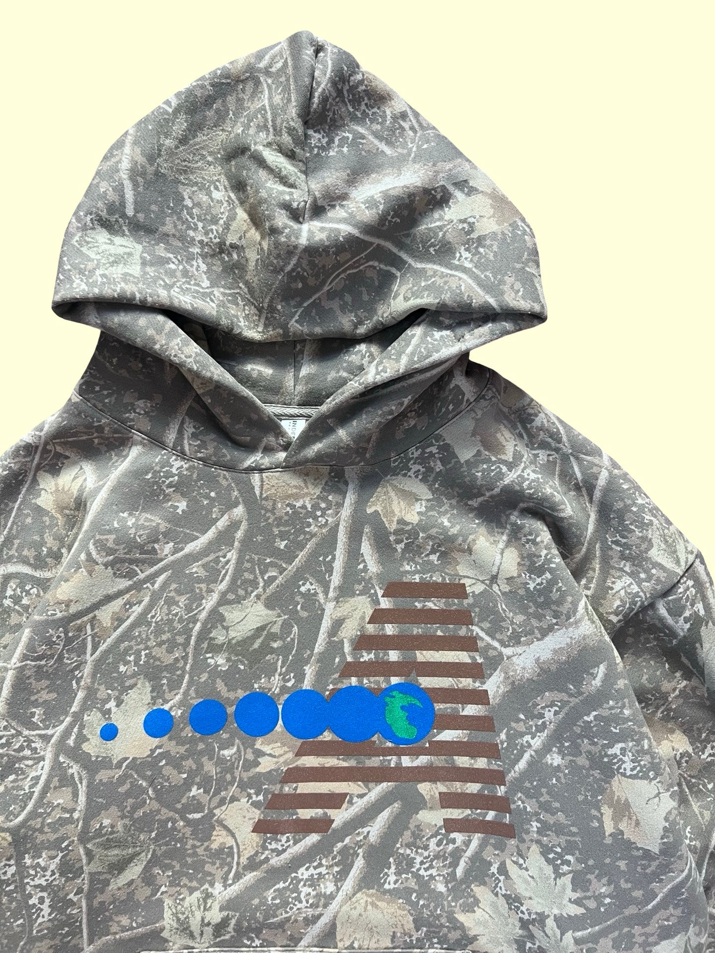 Pangea Hooded Sweatshirt (True Branch)