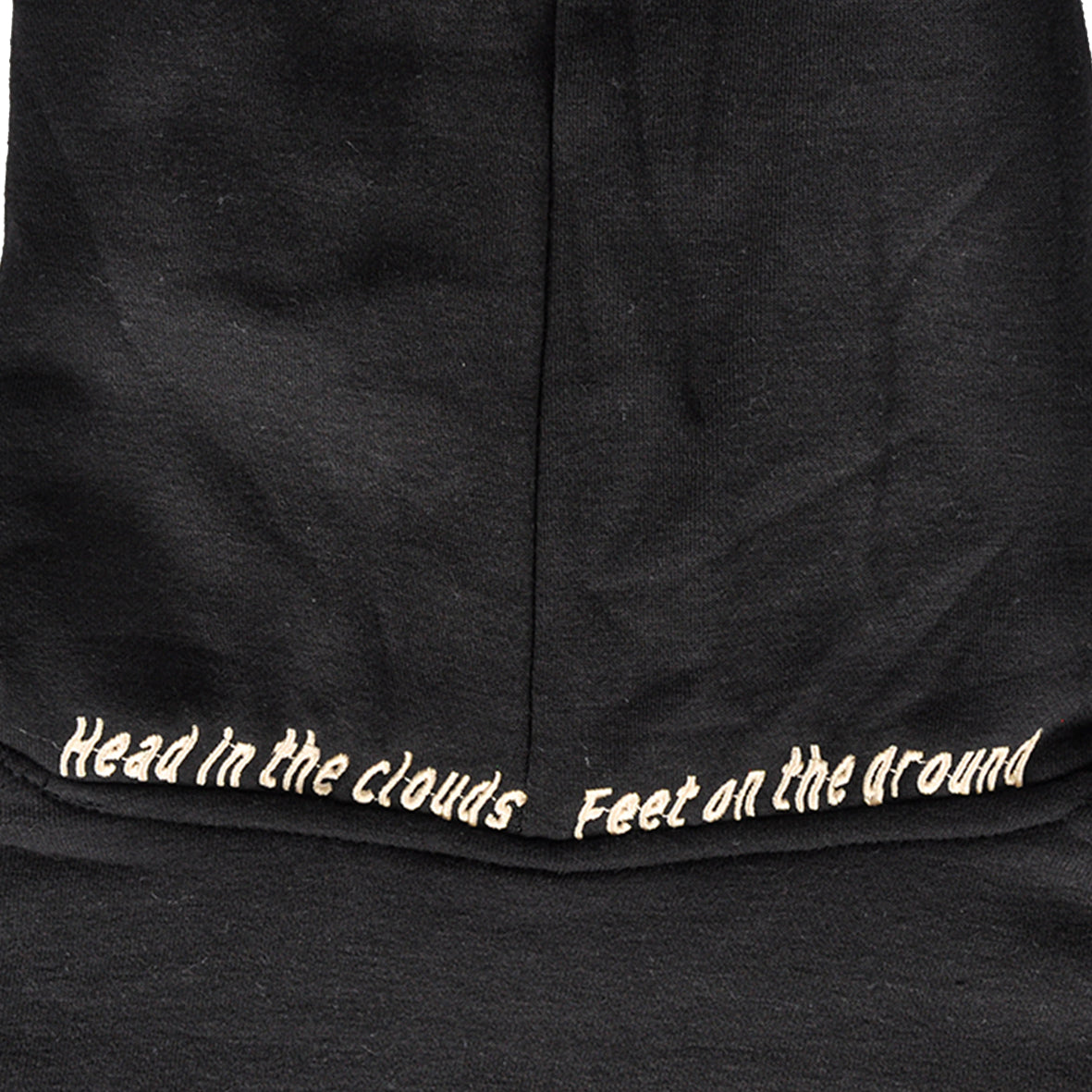 Cloudberry Hooded Sweatshirt (Black) (XS Only)