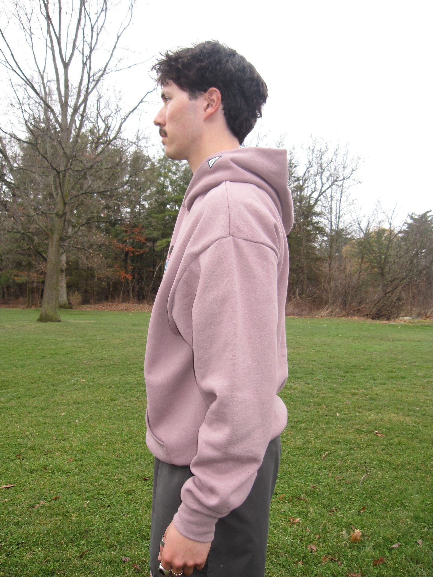 To Die For Hooded Sweatshirt (Mauve)